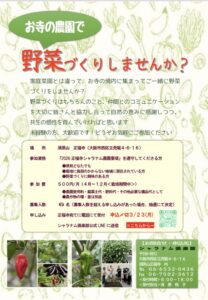 野菜づくり　してみませんか？